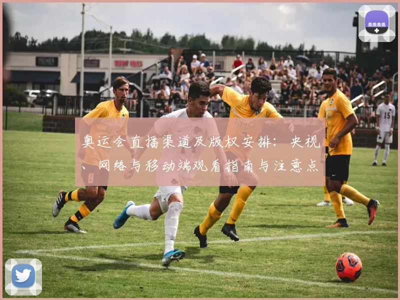 奥运会直播渠道及版权安排：央视、网络与移动端观看指南与注意点