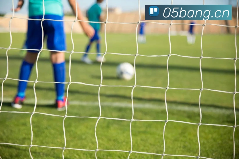 米兰网官网登录入口平台生态图